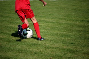 九游网页版官网-意甲青训体系中融入情绪调节训练的效果评估，意甲青训体系中融入情绪调节训练的效果评估