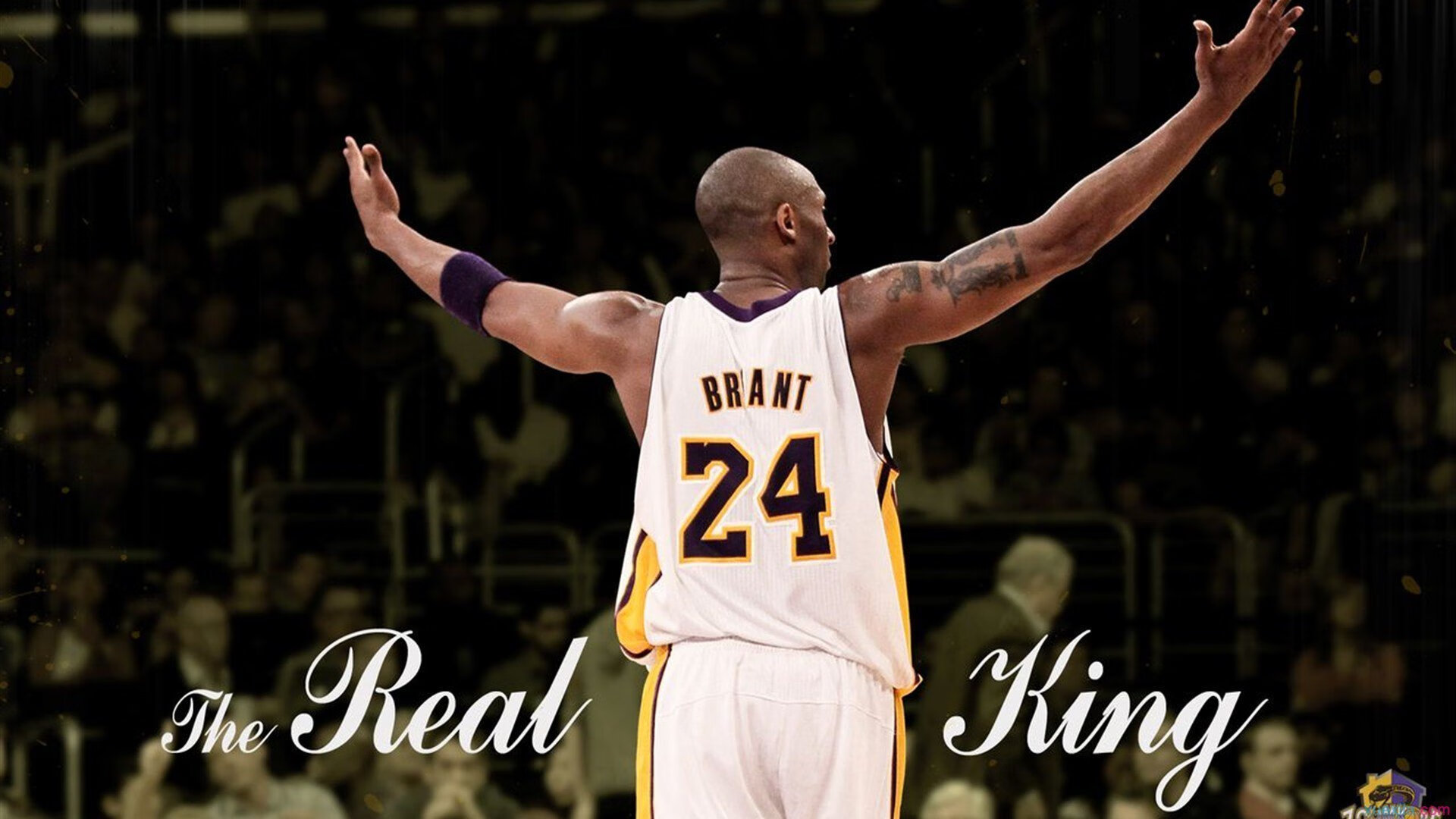 史上最疯狂的外线投篮全集:谁敢挑战纪录?,外线投篮是三分球吗